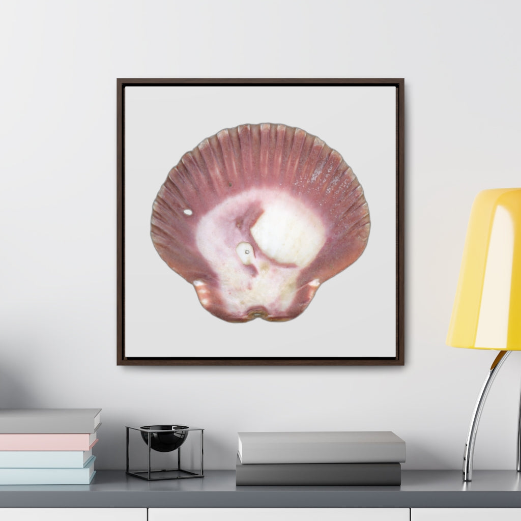 Scallop Shell Magenta Left Exterior | Framed Canvas | Silver Background