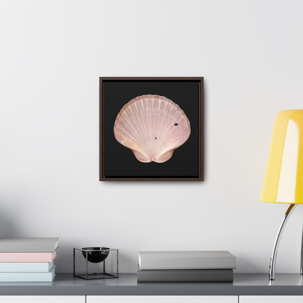 Scallop Shell Magenta Left Interior | Framed Canvas | Black Background