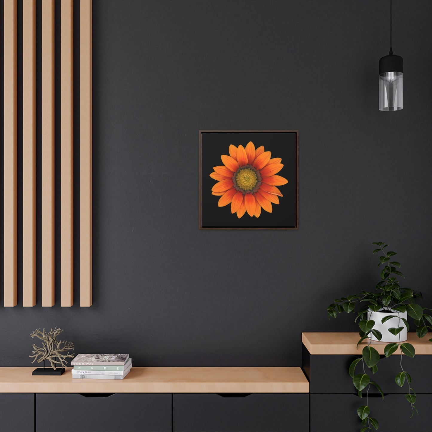 Gazania Flower Orange | Framed Canvas | Black Background