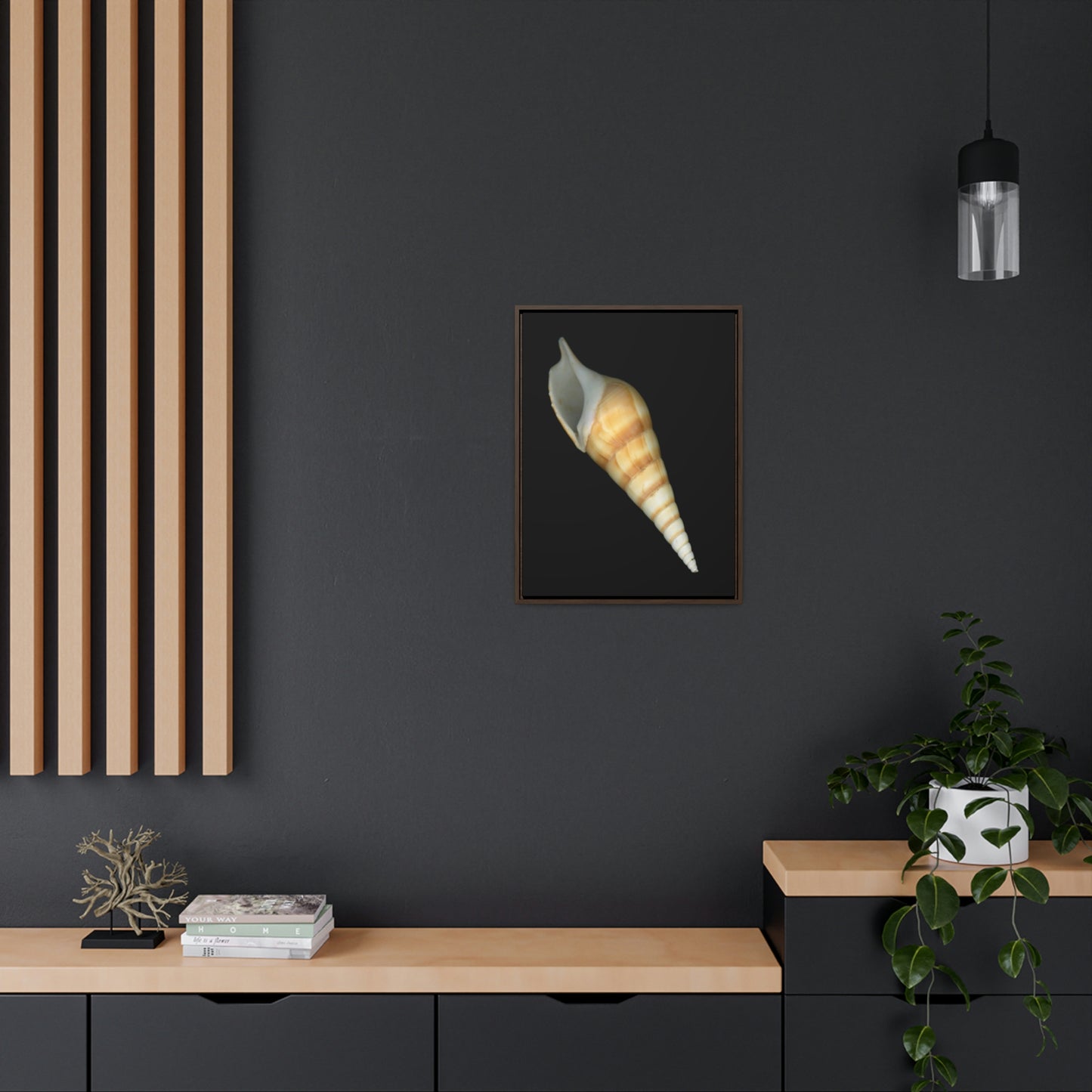 Turrid Shell Tan Apertural | Framed Canvas | Black Background