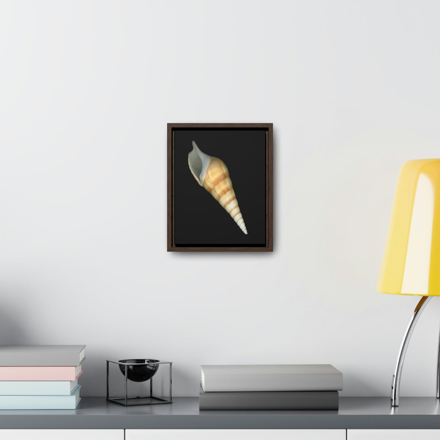 Turrid Shell Tan Apertural | Framed Canvas | Black Background