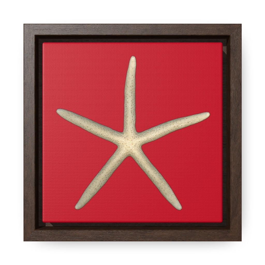 Finger Starfish Shell Top | Framed Canvas | Red Background