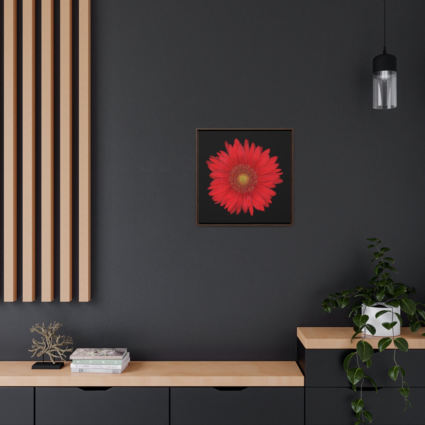 Gerbera Daisy Flower Red | Framed Canvas | Black Background