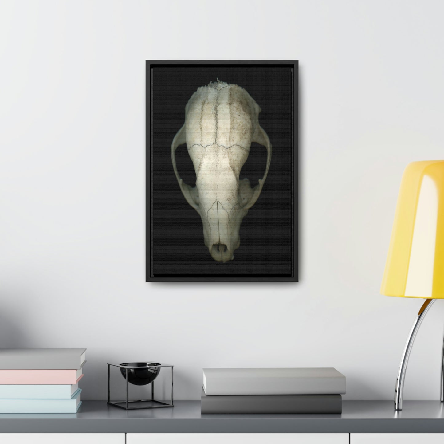 Raccoon Skull Superior by Matteo | Framed Wrap Canvas | Black Background