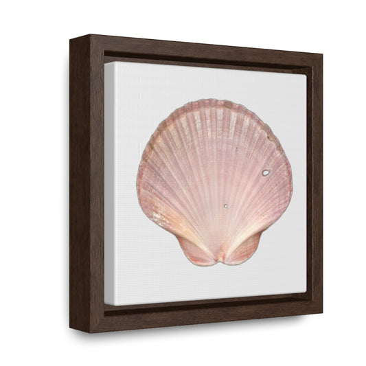 Scallop Shell Magenta Left Interior | Framed Canvas | Silver Background