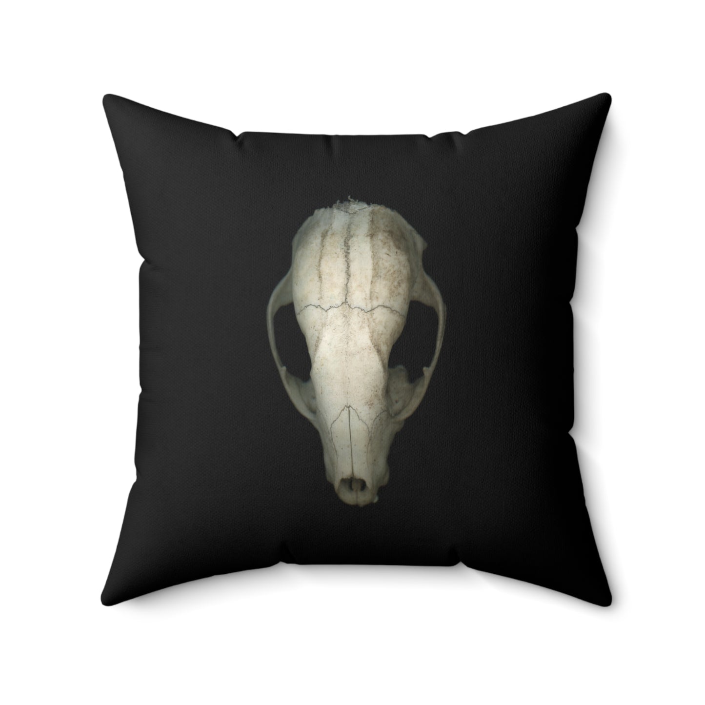 Throw Pillow | Raccoon Skull Front & Back by Matteo | Black | Front | 20x20 Dark Cottagecore Goblincore Gothic