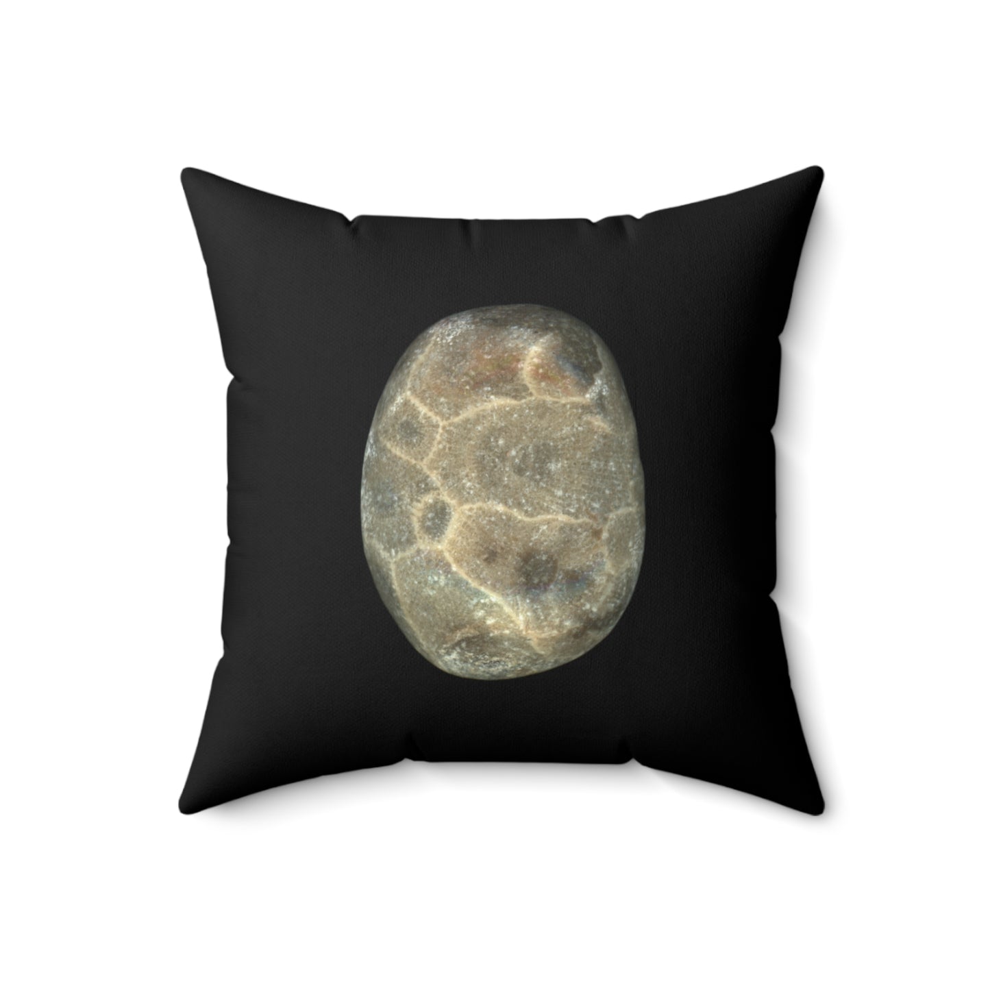 Petoskey Stone | Throw Pillow | Black