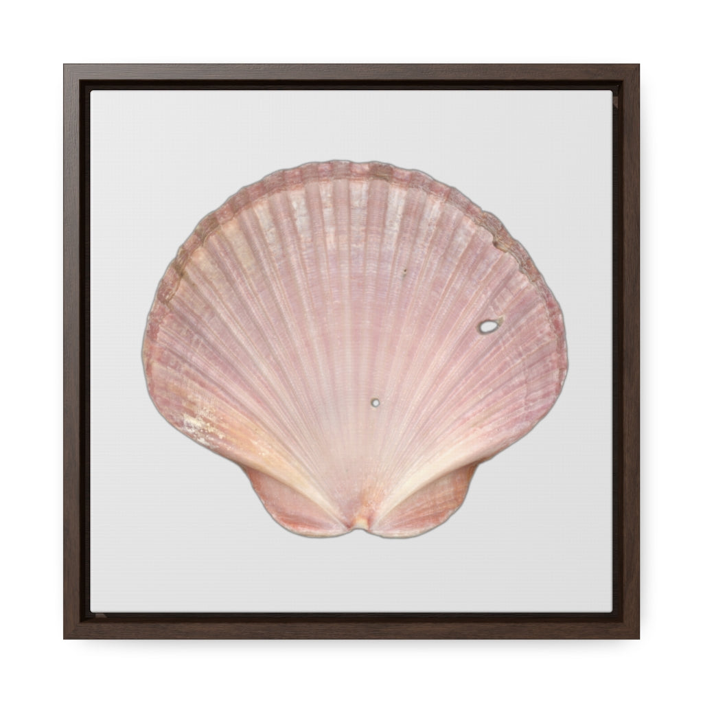 Scallop Shell Magenta Left Interior | Framed Canvas | Silver Background