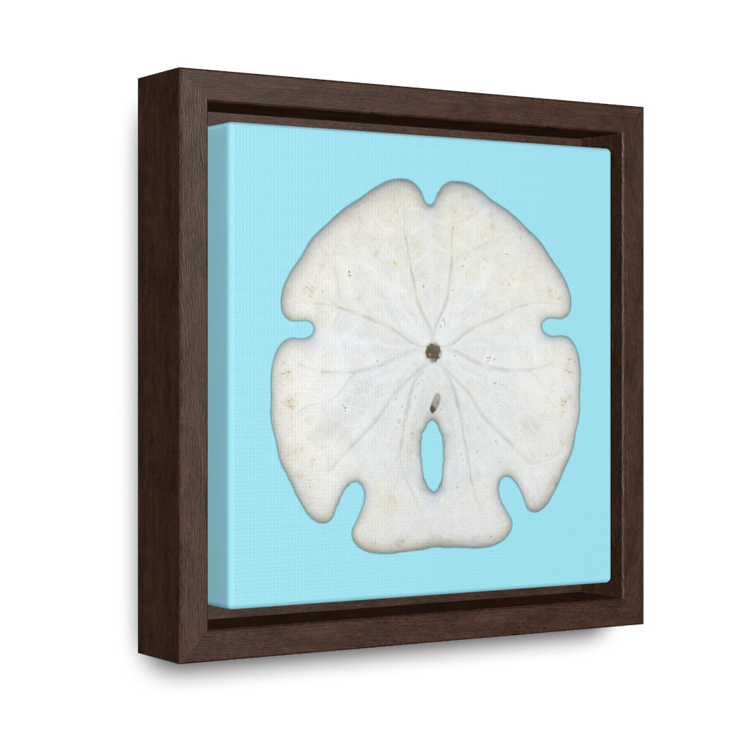 Arrowhead Sand Dollar Shell Bottom | Framed Canvas | Sky Blue Background