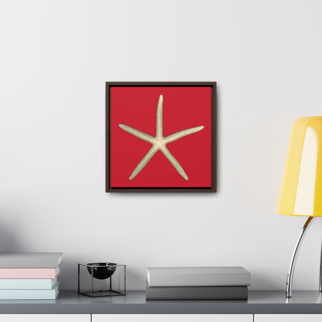 Finger Starfish Shell Top | Framed Canvas | Red Background