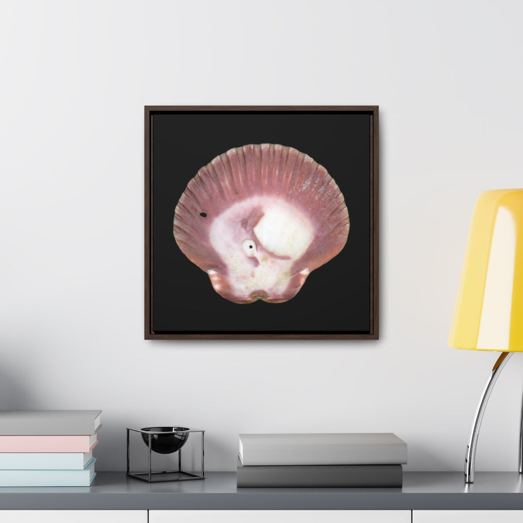 Scallop Shell Magenta Left Exterior | Framed Canvas | Black Background