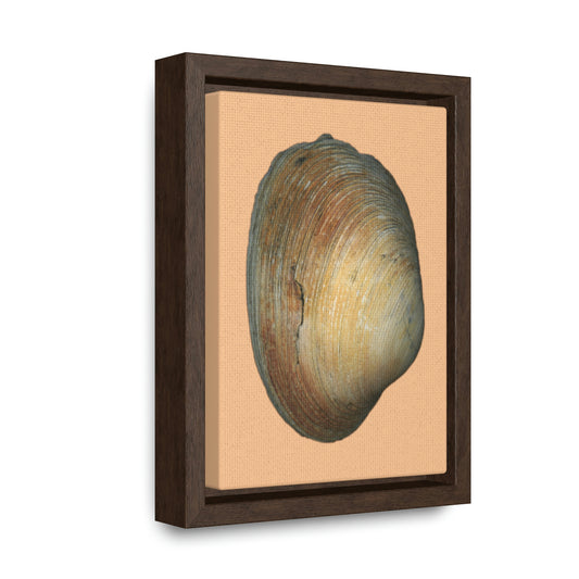 Quahog Clam Shell Purple Right Exterior | Framed Canvas | Desert Tan Background